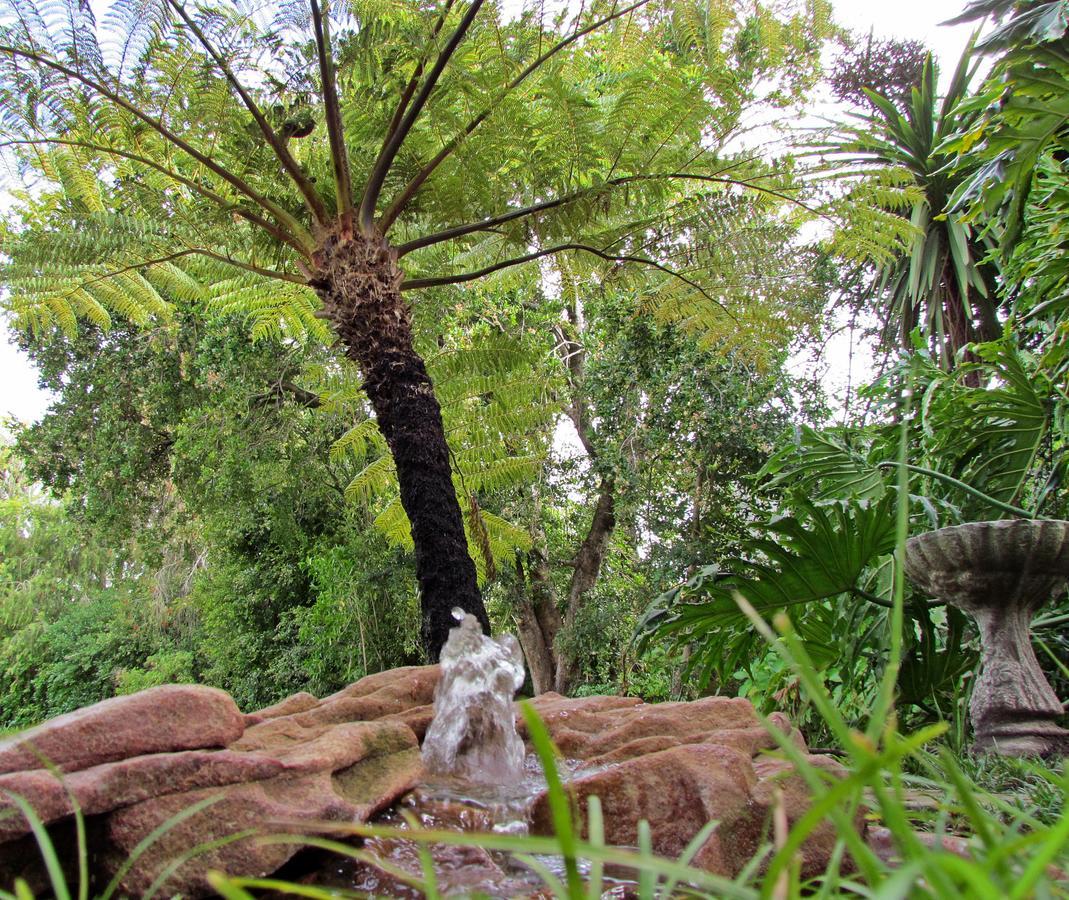 Jasmine Cottage George Esterno foto